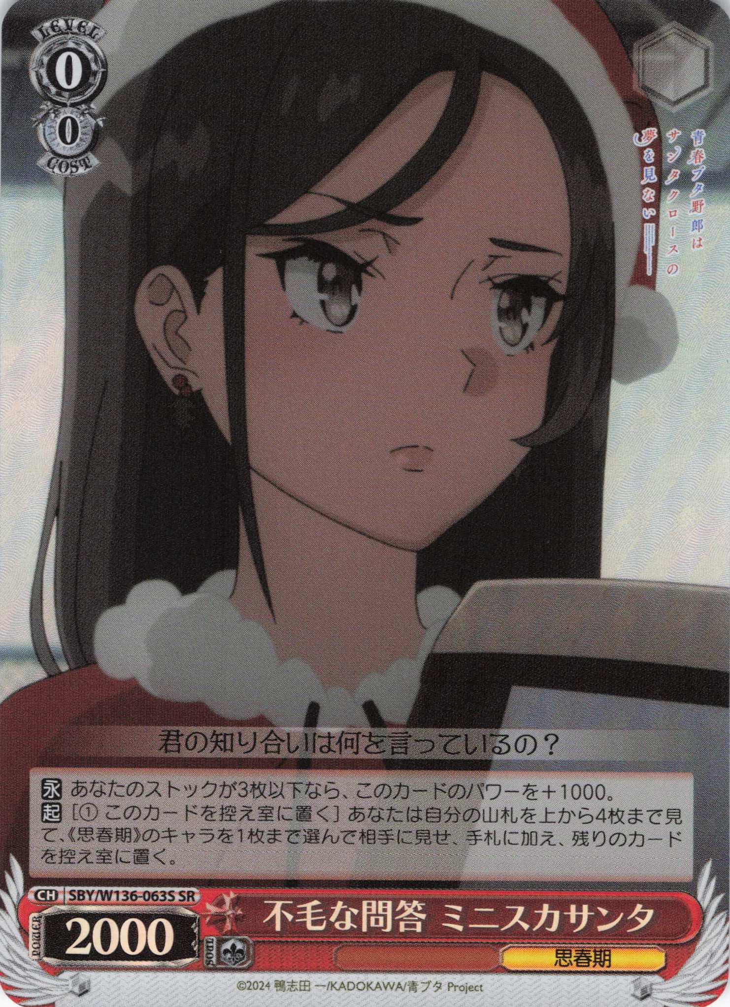 不毛な問答 ミニスカサンタ(SR)(SBY/W136-063S)